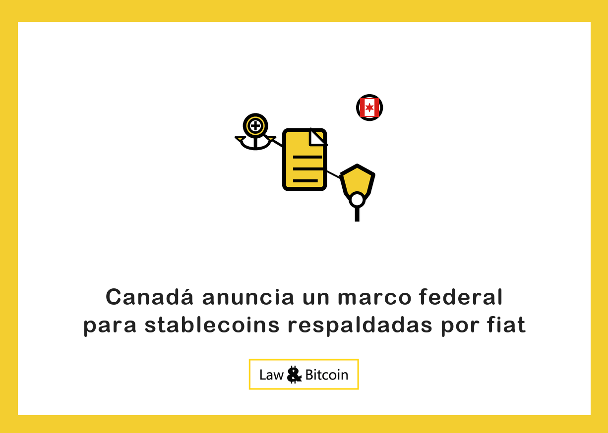 Ilustración editorial de una moneda estable anclada, un documento normativo y un escudo de protección.